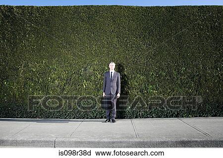 Businessman in front of hedge View Large Photo Image Stock Image - Businessman in front of hedge. Fotosearch