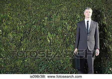 Stock Photograph - Businessman in front of hedge. Fotosearch