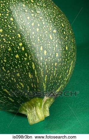 Picture - Close up of summer squash. Fotosearch