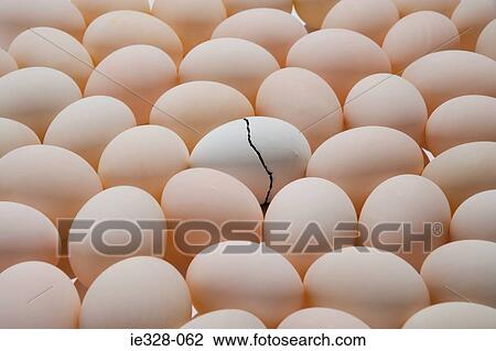Cracked egg amongst others View Large Photo Image Stock Image - Cracked egg amongst others. Fotosearch