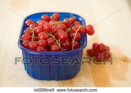 Cranberries in a container View Large Photo Image Stock Photo - Cranberries in a container. Fotosearch