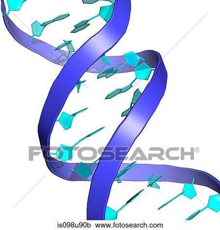 DNA molecule View Large Photo Image Stock Image - DNA molecule. Fotosearch