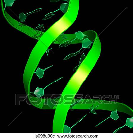 DNA molecule View Large Photo Image Stock Image - DNA molecule. Fotosearch