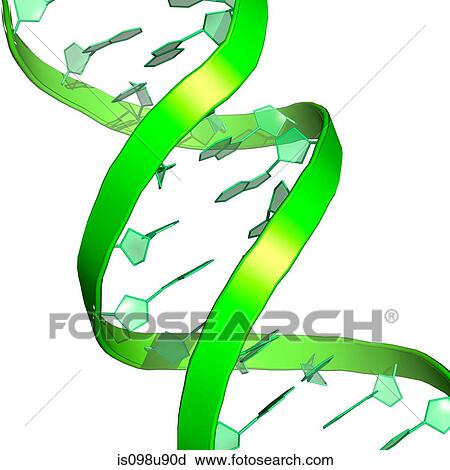 DNA molecule View Large Photo Image Stock Image - DNA molecule. Fotosearch