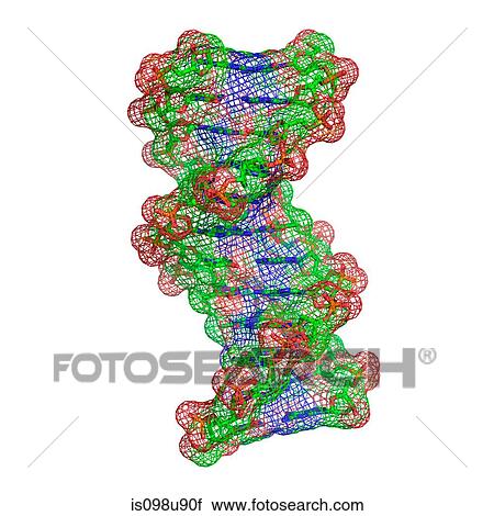 DNA molecule View Large Photo Image Stock Image - DNA molecule. Fotosearch