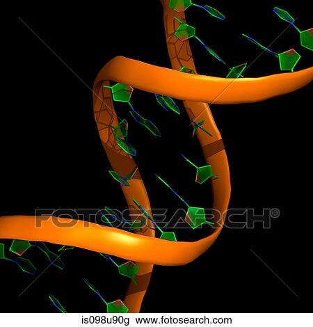 Stock Image - DNA molecule. Fotosearch