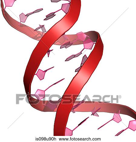 DNA molecule View Large Photo Image Stock Image - DNA molecule. Fotosearch