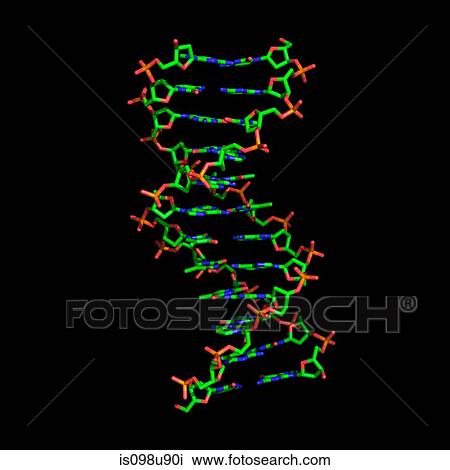 DNA molecule View Large Photo Image Stock Image - DNA molecule. Fotosearch