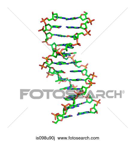 Stock Image - DNA molecule. Fotosearch