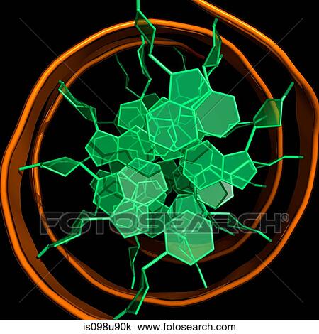 DNA molecule View Large Photo Image Stock Image - DNA molecule. Fotosearch