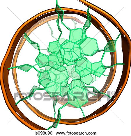 DNA molecule View Large Photo Image Stock Image - DNA molecule. Fotosearch