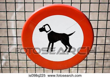 Dog on a sign View Large Photo Image Stock Photography - Dog on a sign. Fotosearch