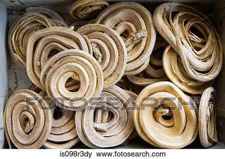 Stock Photo - Dried coiled snakes in markets. Fotosearch