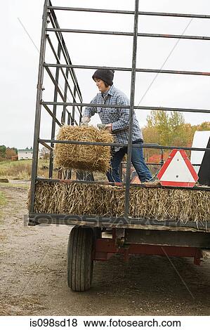 Stock Photo - Farmer and tractor of hay. Fotosearch