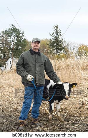 Stock Photo - Farmer with calf. Fotosearch