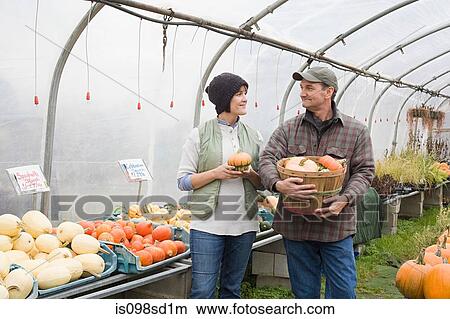 Farmers in greenhouse with pumpkins View Large Photo Image Picture - Farmers in greenhouse with pumpkins. Fotosearch