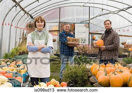 Farmers in greenhouse with pumpkins View Large Photo Image Stock Image - Farmers in greenhouse with pumpkins. Fotosearch
