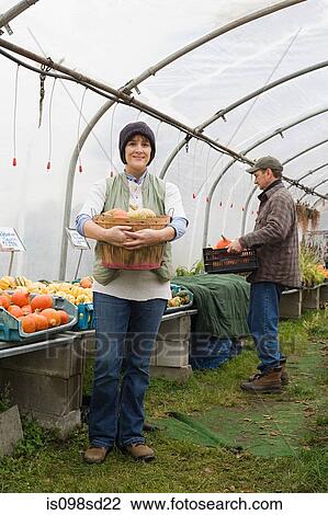 Farmers in greenhouse with pumpkins View Large Photo Image Stock Image - Farmers in greenhouse with pumpkins. Fotosearch