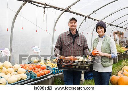 Farmers in greenhouse with pumpkins View Large Photo Image Stock Image - Farmers in greenhouse with pumpkins. Fotosearch