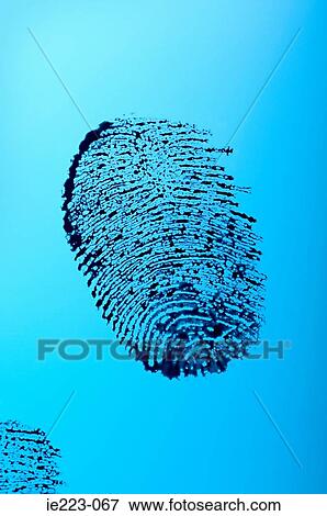 Fingerprint View Large Photo Image Stock Photo - Fingerprint. Fotosearch