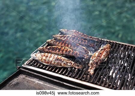 Fish on bbq on boat, Oludeniz, Turkey View Large Photo Image Stock Image - Fish on bbq on boat, Oludeniz, Turkey. Fotosearch