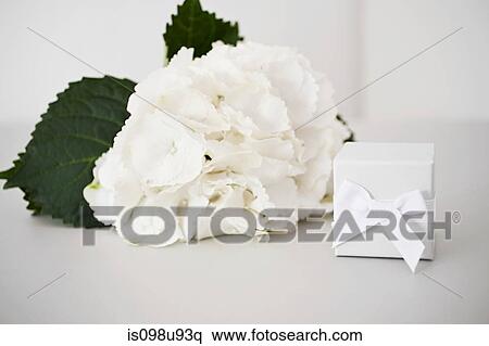 Stock Photography - Flowers with gift. Fotosearch