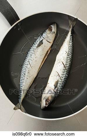 Frying fish View Large Photo Image Stock Image - Frying fish. Fotosearch