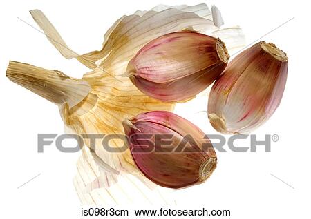 Garlic cloves on white background View Large Photo Image Picture - Garlic cloves on white background. Fotosearch