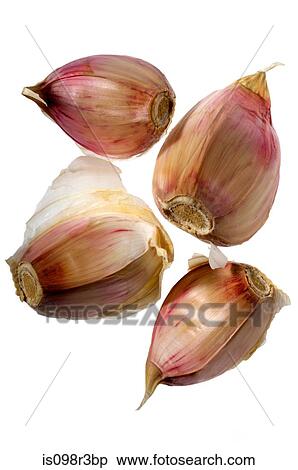 Stock Photography - Garlic cloves on white background. Fotosearch
