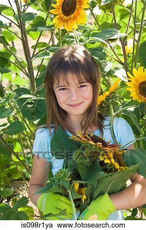 Girl and sunflowers View Large Photo Image Stock Image - Girl and sunflowers. Fotosearch