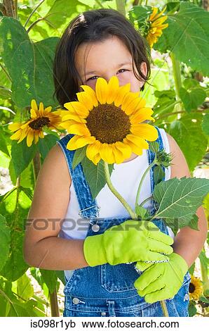 Girl and sunflowers View Large Photo Image Stock Image - Girl and sunflowers. Fotosearch