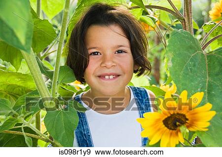 Girl and sunflowers View Large Photo Image Stock Photo - Girl and sunflowers. Fotosearch