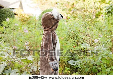 Girl dressed as koala View Large Photo Image Stock Photo - Girl dressed as koala. Fotosearch