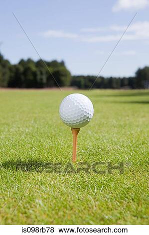 Golf ball and tee on fairway View Large Photo Image Stock Photo - Golf ball and tee on fairway. Fotosearch