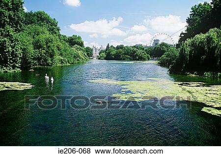 Stock Photo - Green park london. Fotosearch