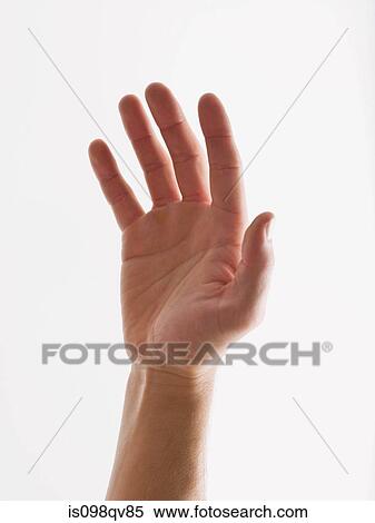 Hand View Large Photo Image Stock Photography - Hand. Fotosearch