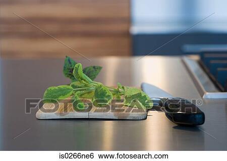 Herb cutting board and knife View Large Photo Image Stock Photograph - Herb cutting board and knife. Fotosearch