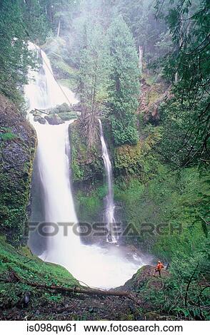 Hiker by waterfall at falls creek View Large Photo Image Stock Image - Hiker by waterfall at falls creek. Fotosearch
