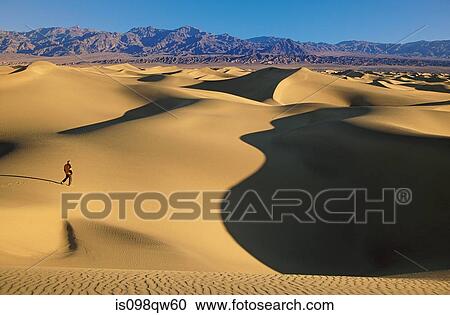 Hiker on mesquite sand dunes View Large Photo Image Stock Image - Hiker on mesquite sand dunes. Fotosearch