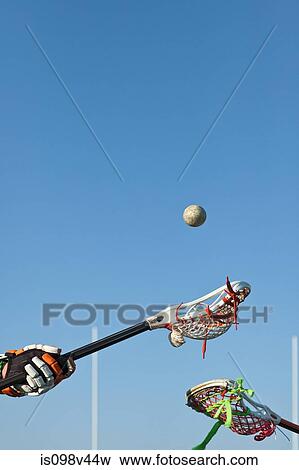 Lacrosse players competing for the ball View Large Photo Image Stock Photo - Lacrosse players competing for the ball. Fotosearch