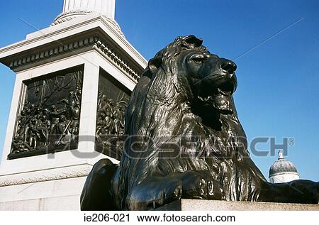 Lion at trafalgar square View Large Photo Image Stock Image - Lion at trafalgar square. Fotosearch