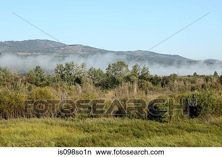 Low cloud over siberian landscape View Large Photo Image Picture - Low cloud over siberian landscape. Fotosearch