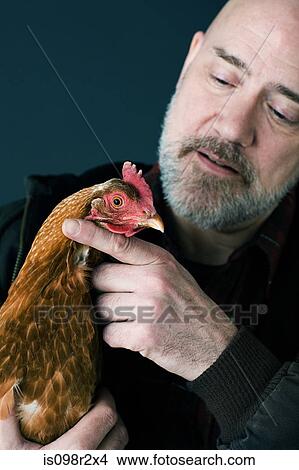 Man holding a chicken View Large Photo Image Picture - Man holding a chicken. Fotosearch