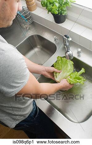 Man washing lettuce View Large Photo Image Stock Image - Man washing lettuce. Fotosearch