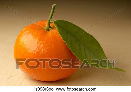 Picture - Mandarin on brown background. Fotosearch