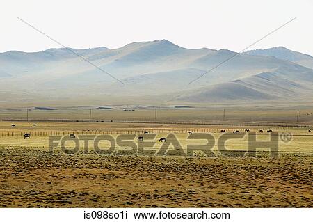 Stock Image - Mongolian steppes landscape. Fotosearch
