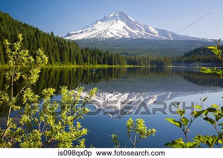 Mount hood and trillium lake View Large Photo Image Stock Photography - Mount hood and trillium lake. Fotosearch