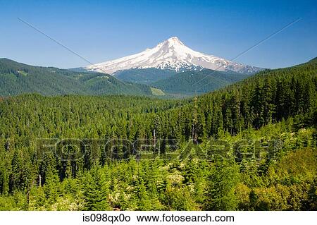 Mount hood View Large Photo Image Picture - Mount hood. Fotosearch