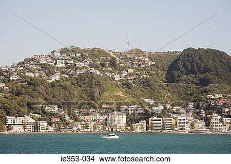 Mount victoria wellington View Large Photo Image Picture - Mount victoria wellington. Fotosearch