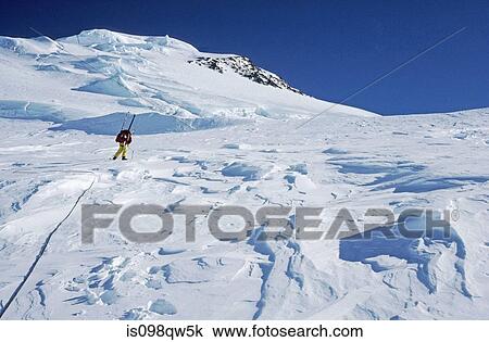 Mountaineer at peters glacier View Large Photo Image Stock Image - Mountaineer at peters glacier. Fotosearch
